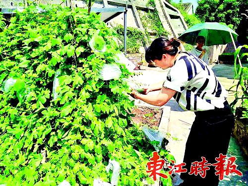 A7605C_5.jpg A7605C_5.jpg