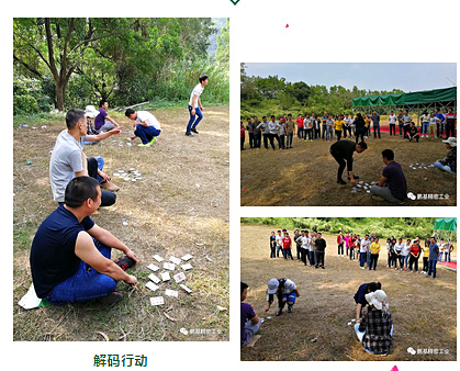 解碼行動(dòng).jpg 解碼行動(dòng).jpg