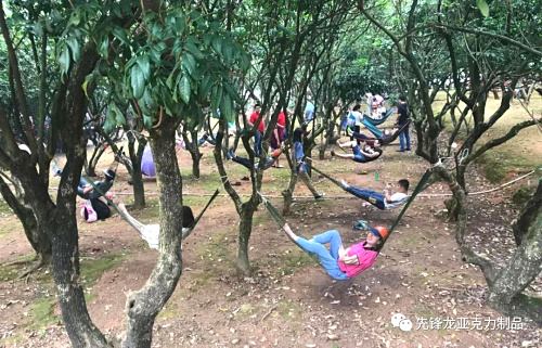 樹林吊床.jpg 樹林吊床.jpg