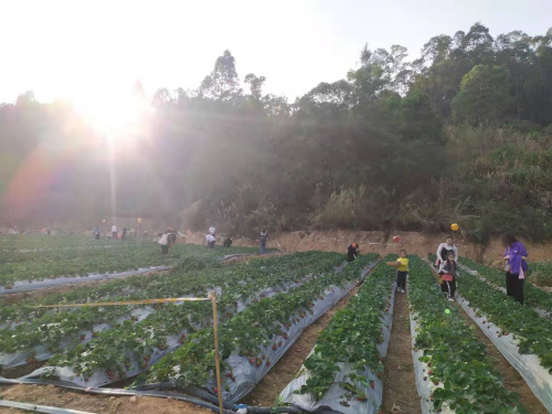 微信圖片_20200107162928.jpg 微信圖片_20200107162928.jpg