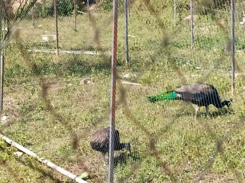 微信圖片_20200107163207.jpg 微信圖片_20200107163207.jpg