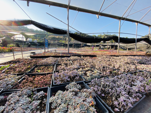 微信圖片_20191212085501.jpg 微信圖片_20191212085501.jpg