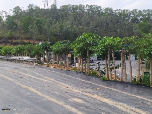 微信圖片_20200324163233.jpg 微信圖片_20200324163233.jpg