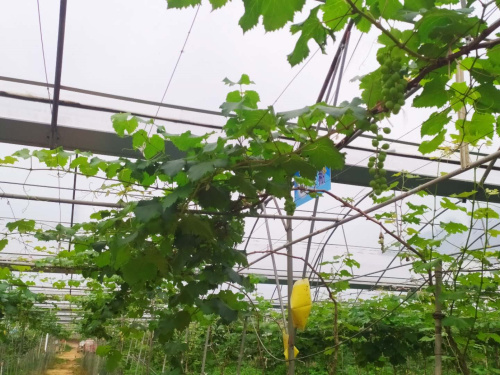 微信圖片_20200417095827.jpg 微信圖片_20200417095827.jpg