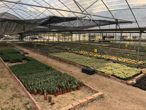 微信圖片_20200707105424.jpg 微信圖片_20200707105424.jpg