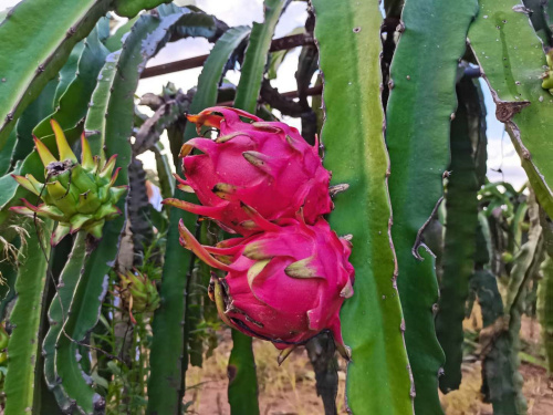 微信圖片_20200618102057.jpg 微信圖片_20200618102057.jpg