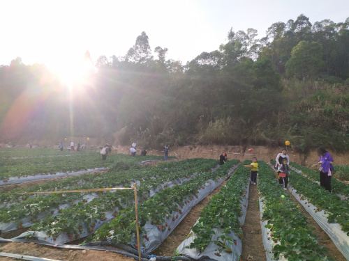 微信圖片_20200322101426.jpg 微信圖片_20200322101426.jpg