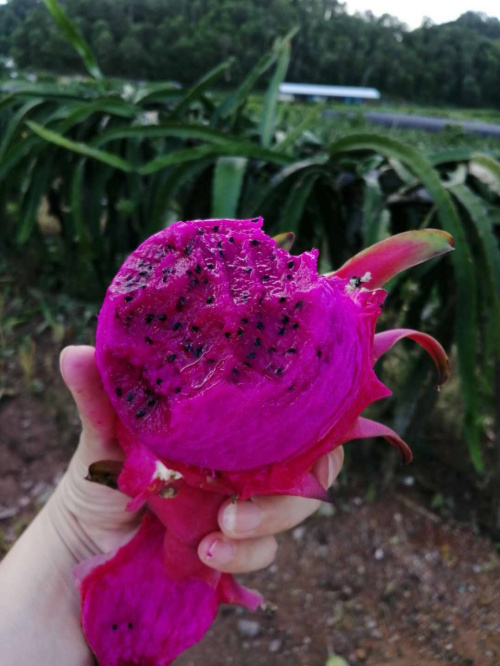 微信圖片_20200618102050.jpg 微信圖片_20200618102050.jpg