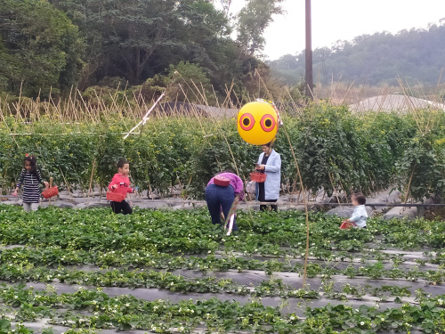 微信圖片_20200322101440.jpg 微信圖片_20200322101440.jpg