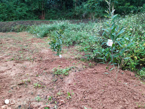 微信圖片_20210225182512.jpg 微信圖片_20210225182512.jpg