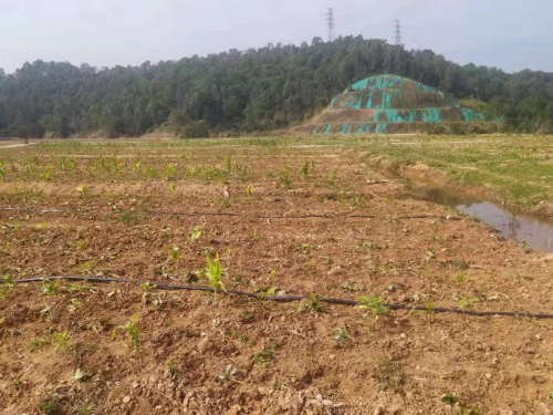 微信圖片_20210225182507.jpg 微信圖片_20210225182507.jpg