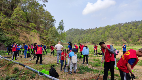 微信圖片_20210316191947.jpg 微信圖片_20210316191947.jpg