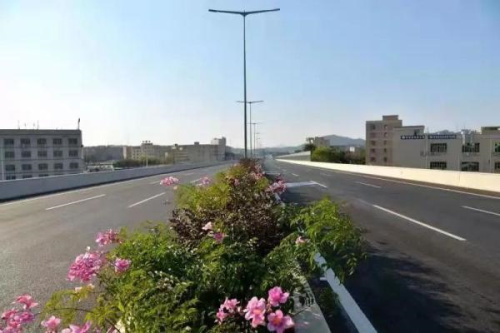 6563941410721611513.jpg 6563941410721611513.jpg