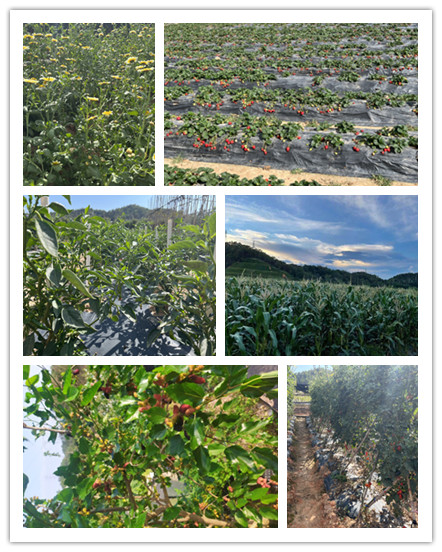 未命名_副本3.jpg 未命名_副本3.jpg